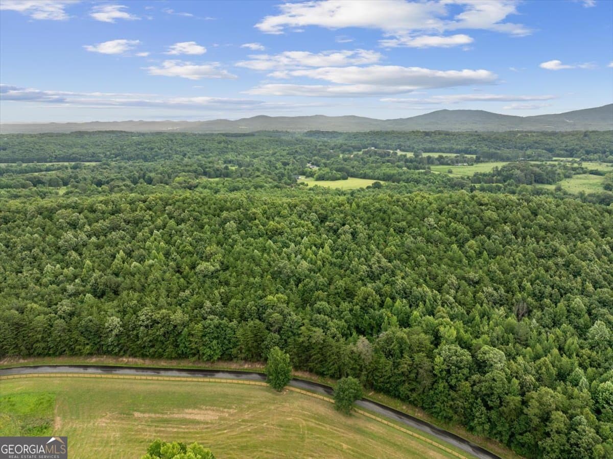 unimproved land for sale at 0 Fricks Gap Road LOT #4, Chickamauga, GA 30707 — photo 6