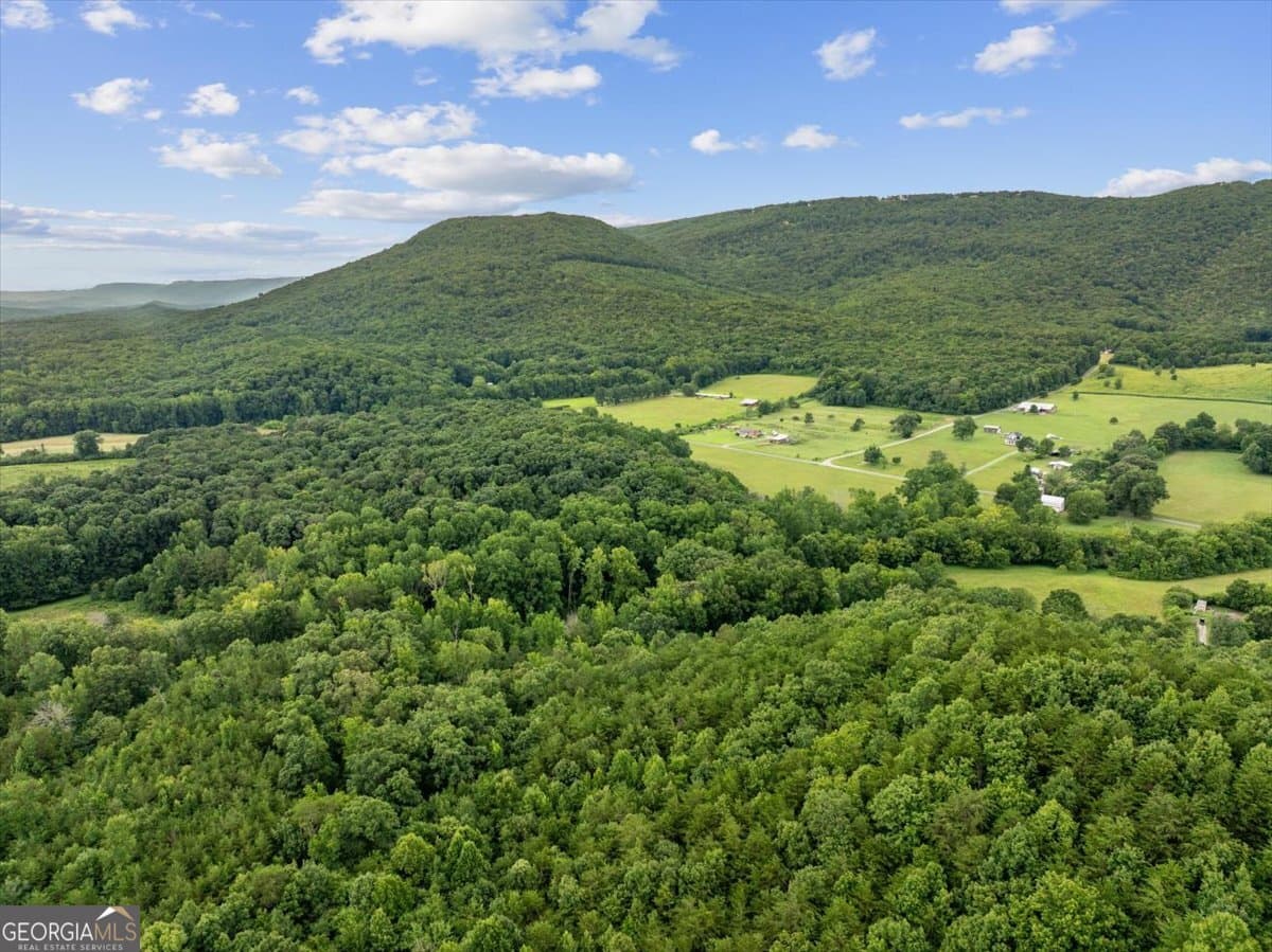 unimproved land for sale at 0 Fricks Gap Road LOT #4, Chickamauga, GA 30707 — photo 3