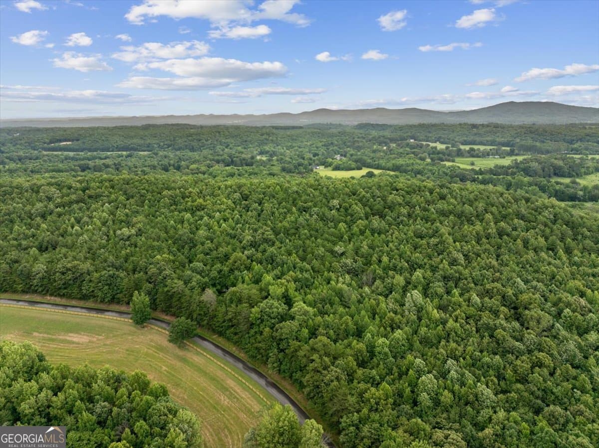 unimproved land for sale at 0 Fricks Gap Road LOT #4, Chickamauga, GA 30707 — photo 9