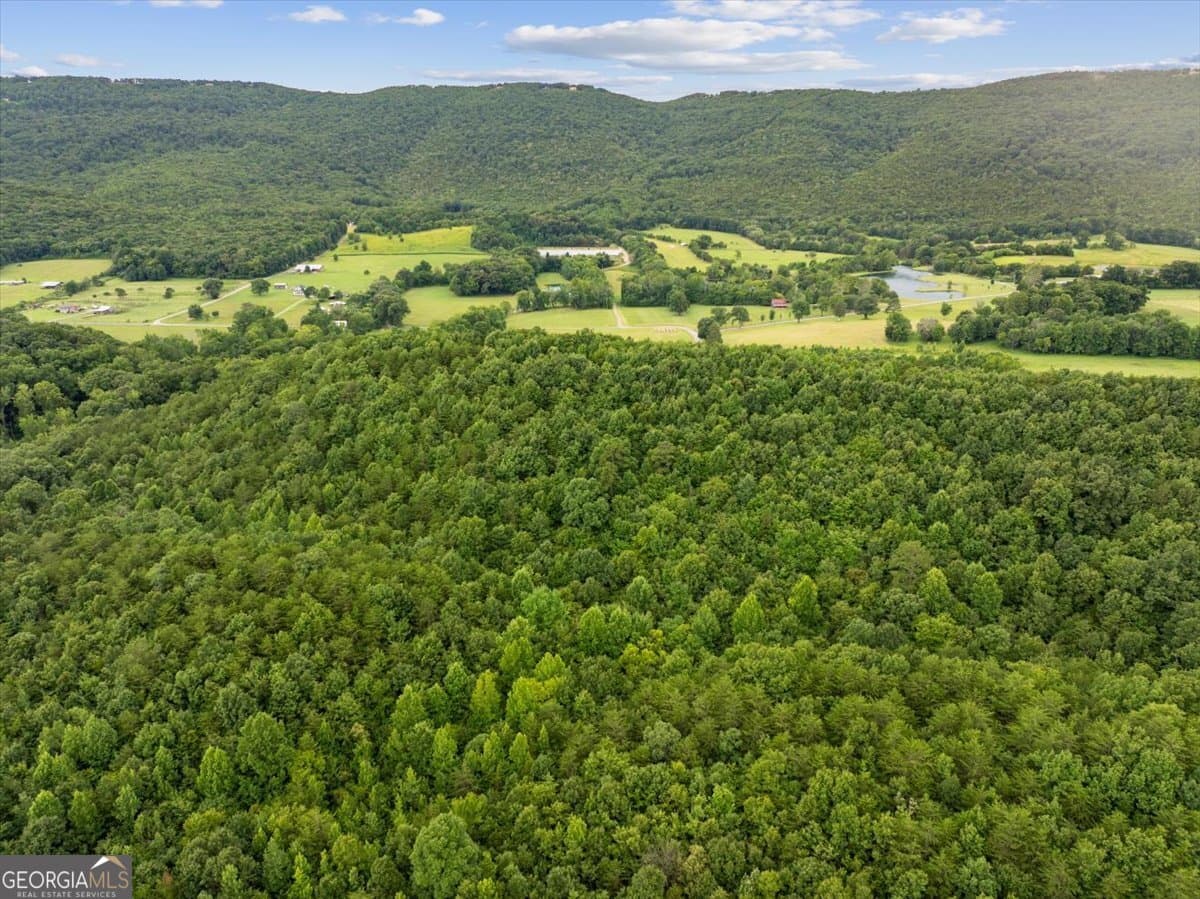 unimproved land for sale at 0 Fricks Gap Road LOT #4, Chickamauga, GA 30707 — photo 10