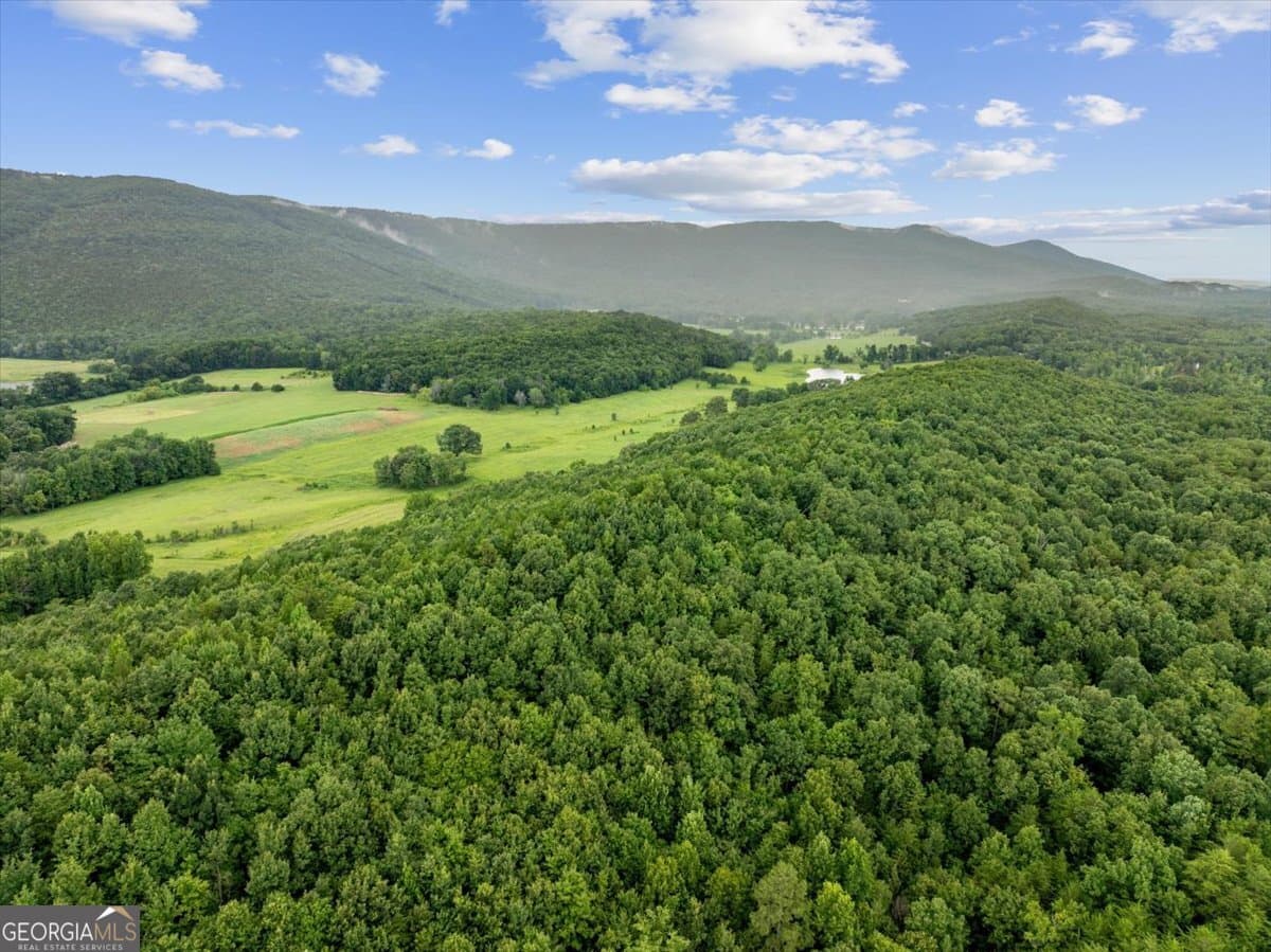 unimproved land for sale at 0 Fricks Gap Road LOT #4, Chickamauga, GA 30707 — photo 4