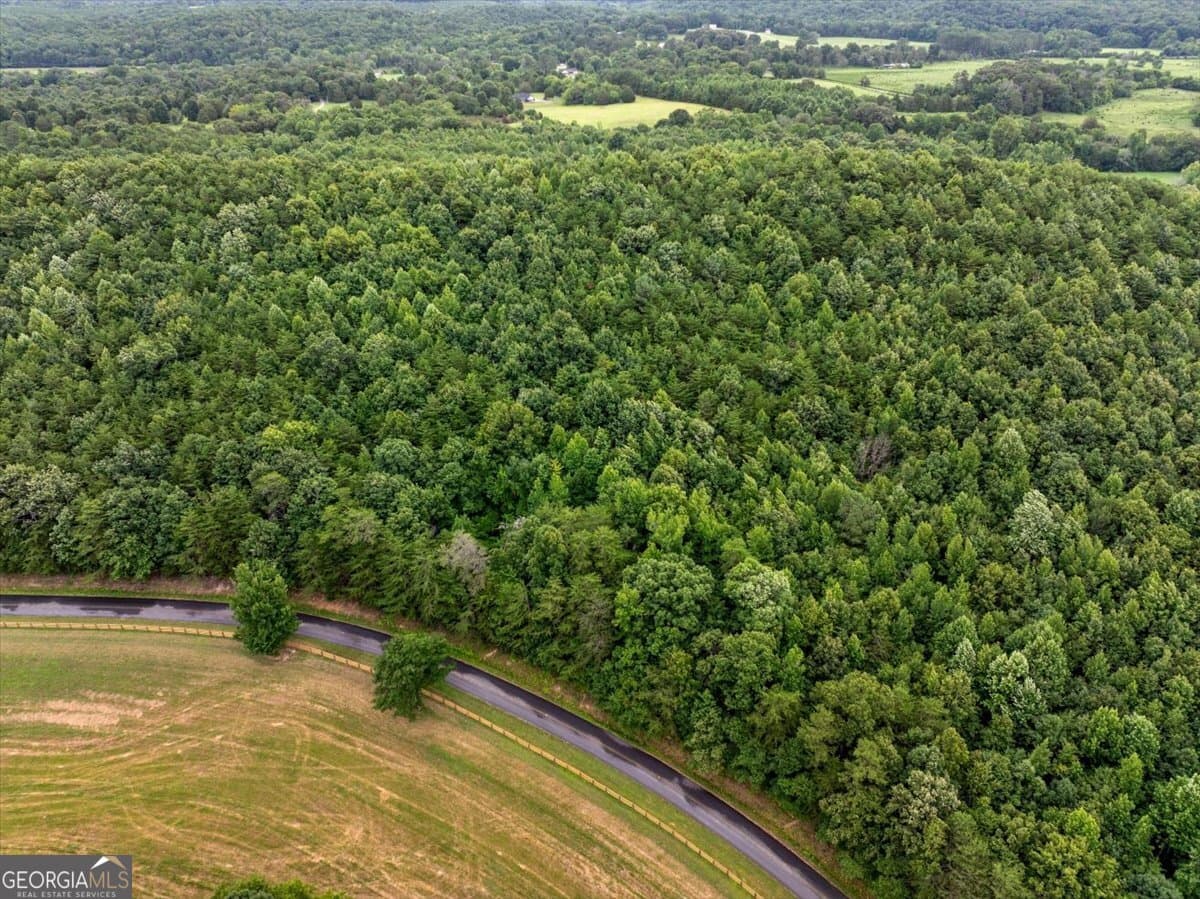 unimproved land for sale at 0 Fricks Gap Road LOT #4, Chickamauga, GA 30707 — photo 8