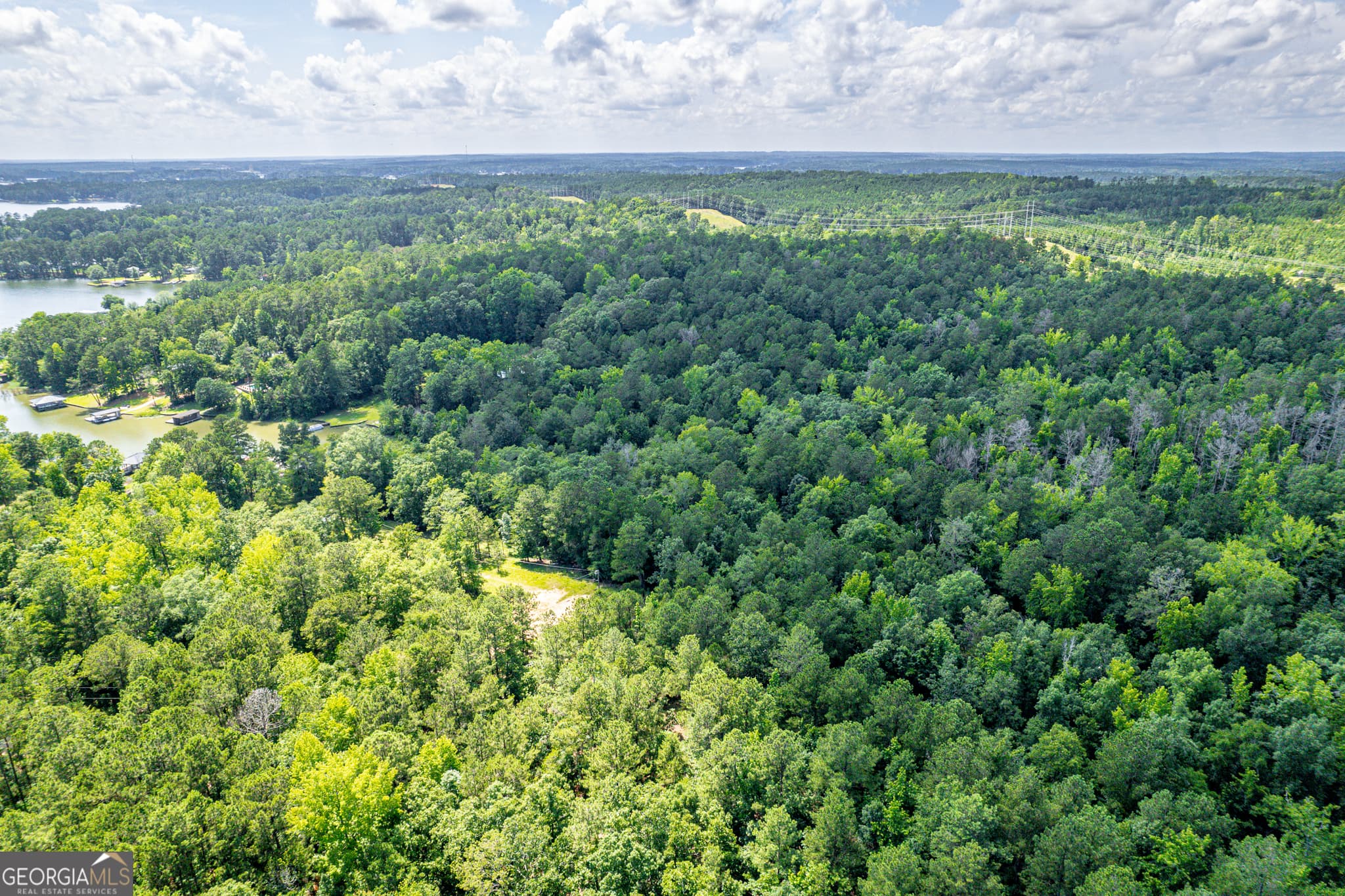 agriculture for sale at 0 Pine Lake Drive, Sparta, GA 31087 — photo 2
