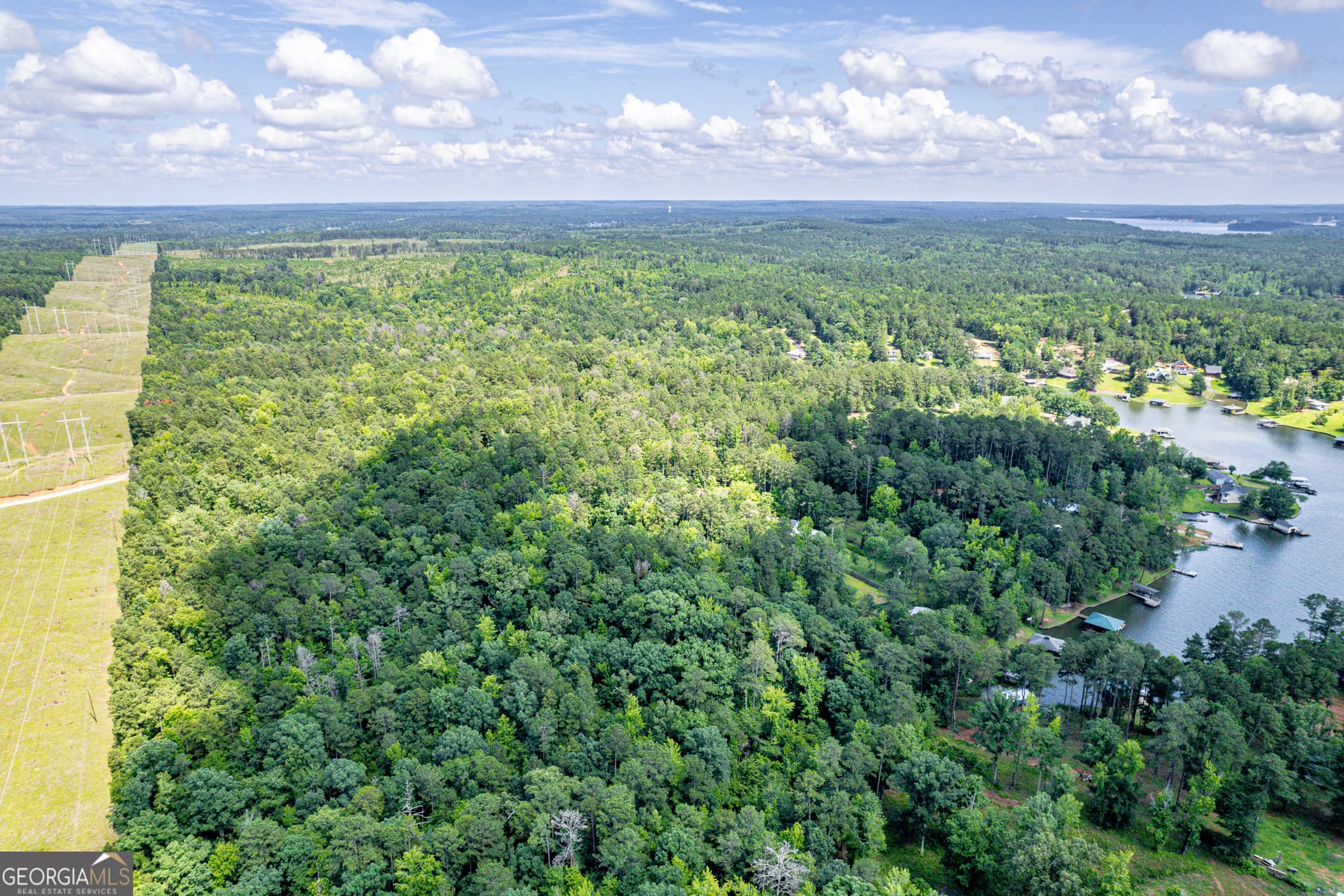 agriculture for sale at 0 Pine Lake Drive, Sparta, GA 31087 — photo 1 of 5
