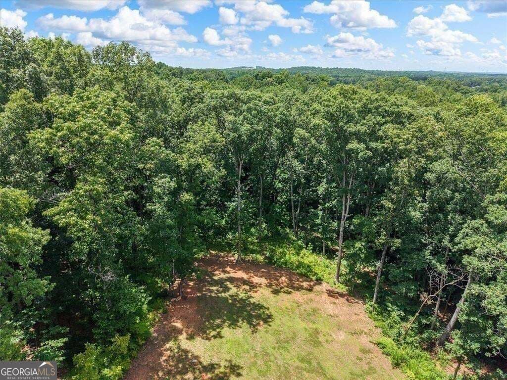 5 bedroom, 3.5 bathroom, 3,159 sq ft single family residence for sale at 1335 County Line Road, Acworth, GA 30101 — photo 10
