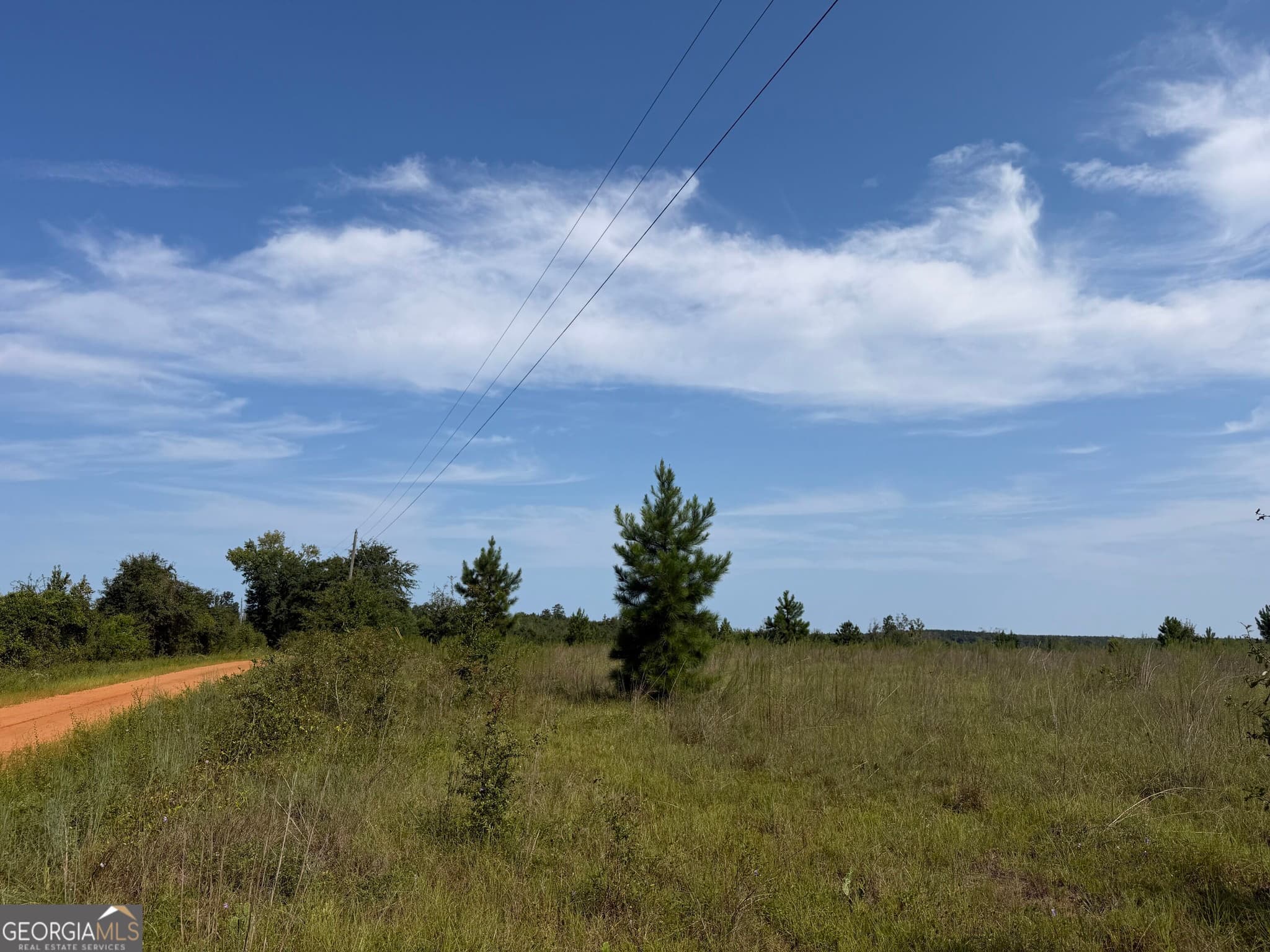 unimproved land for sale at 005 Long Branch Road, Toomsboro, GA 31090 — photo 2