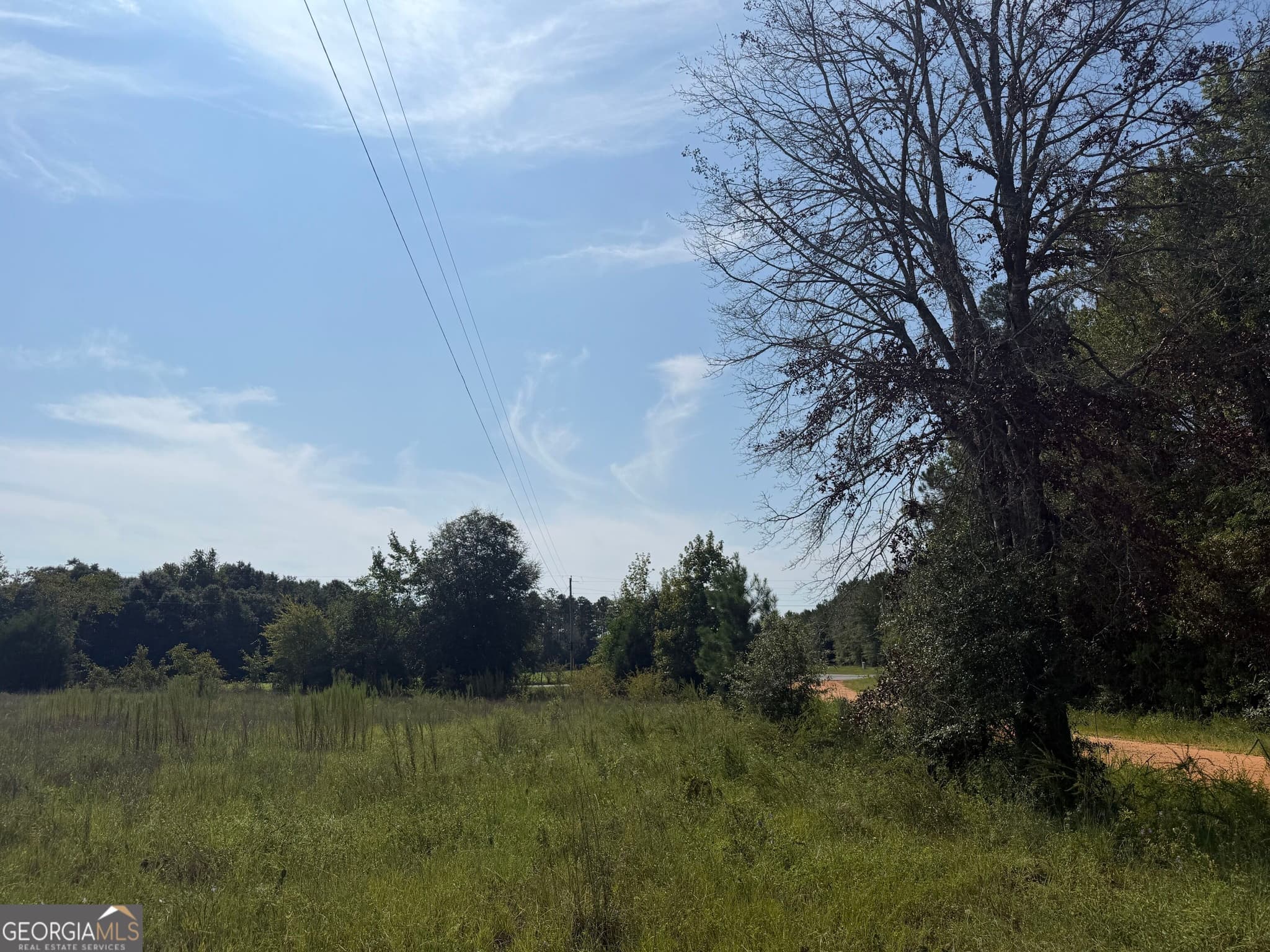 unimproved land for sale at 005 Long Branch Road, Toomsboro, GA 31090 — photo 6