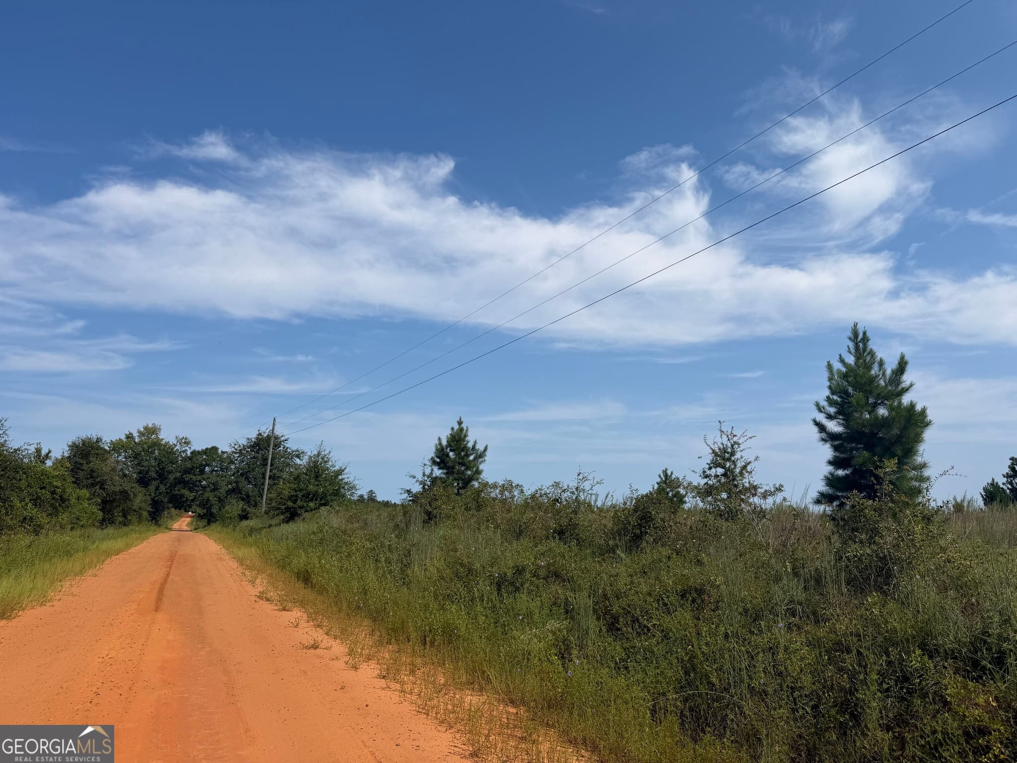 unimproved land for sale at 005 Long Branch Road, Toomsboro, GA 31090 — photo 7