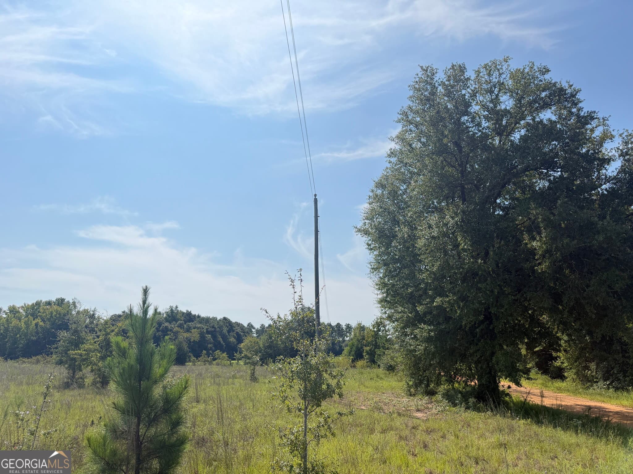 unimproved land for sale at 005 Long Branch Road, Toomsboro, GA 31090 — photo 3