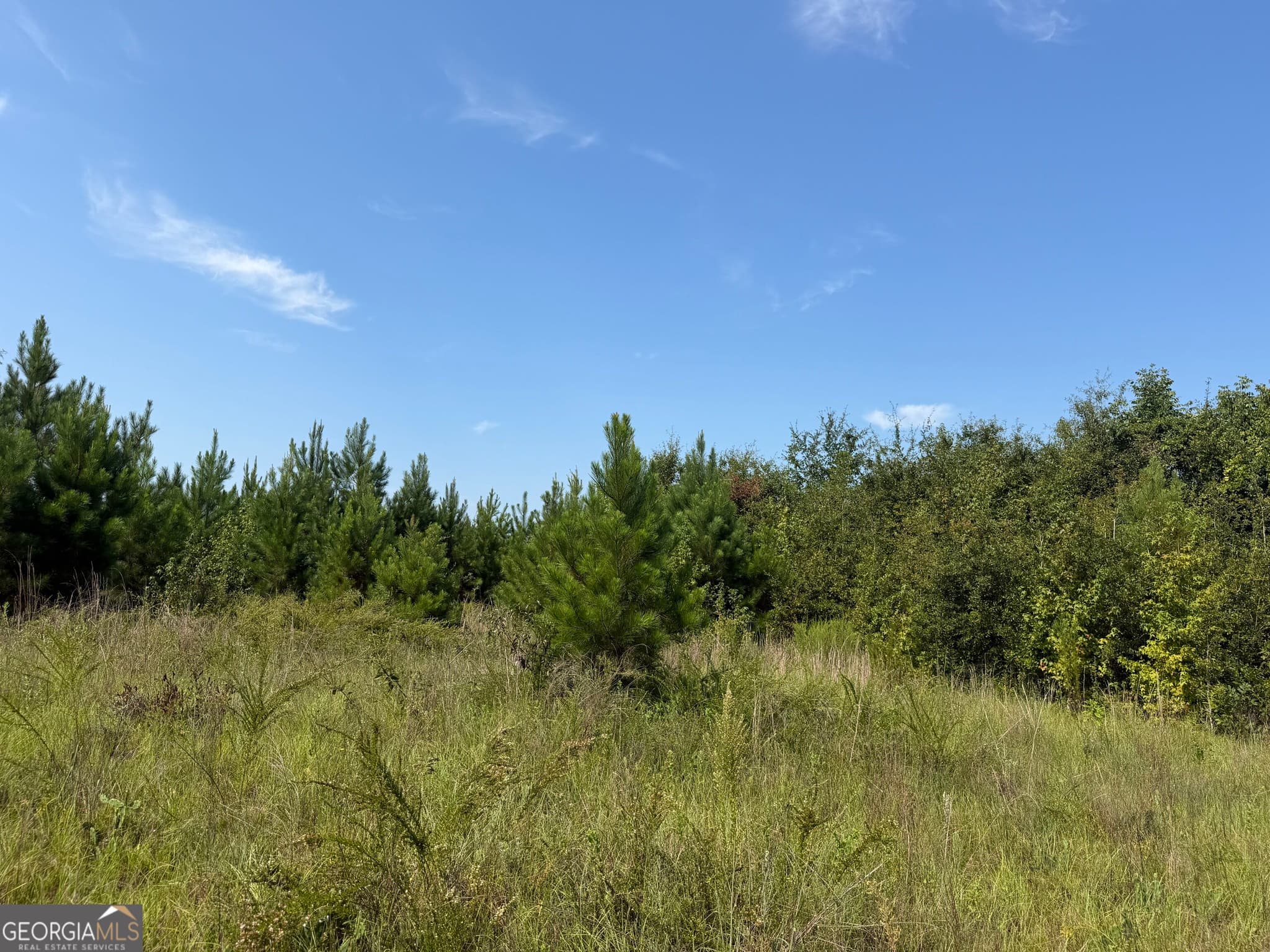 unimproved land for sale at 005 Long Branch Road, Toomsboro, GA 31090 — photo 1 of 15