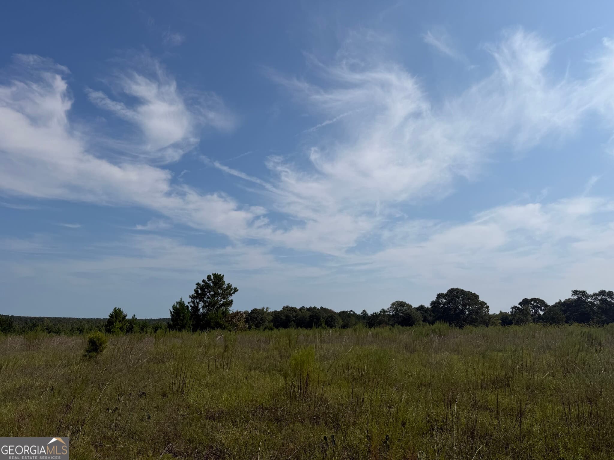 unimproved land for sale at 005 Long Branch Road, Toomsboro, GA 31090 — photo 5