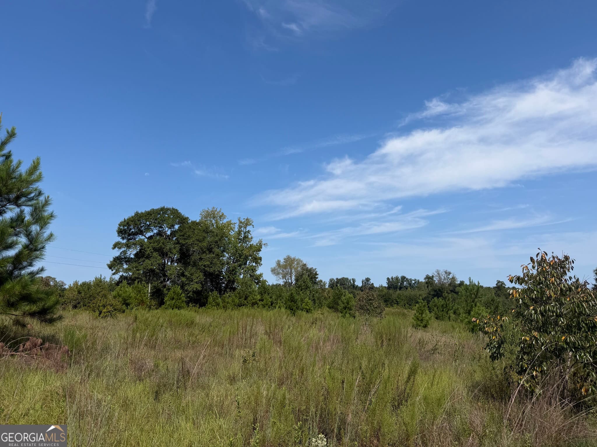 unimproved land for sale at 005 Long Branch Road, Toomsboro, GA 31090 — photo 9
