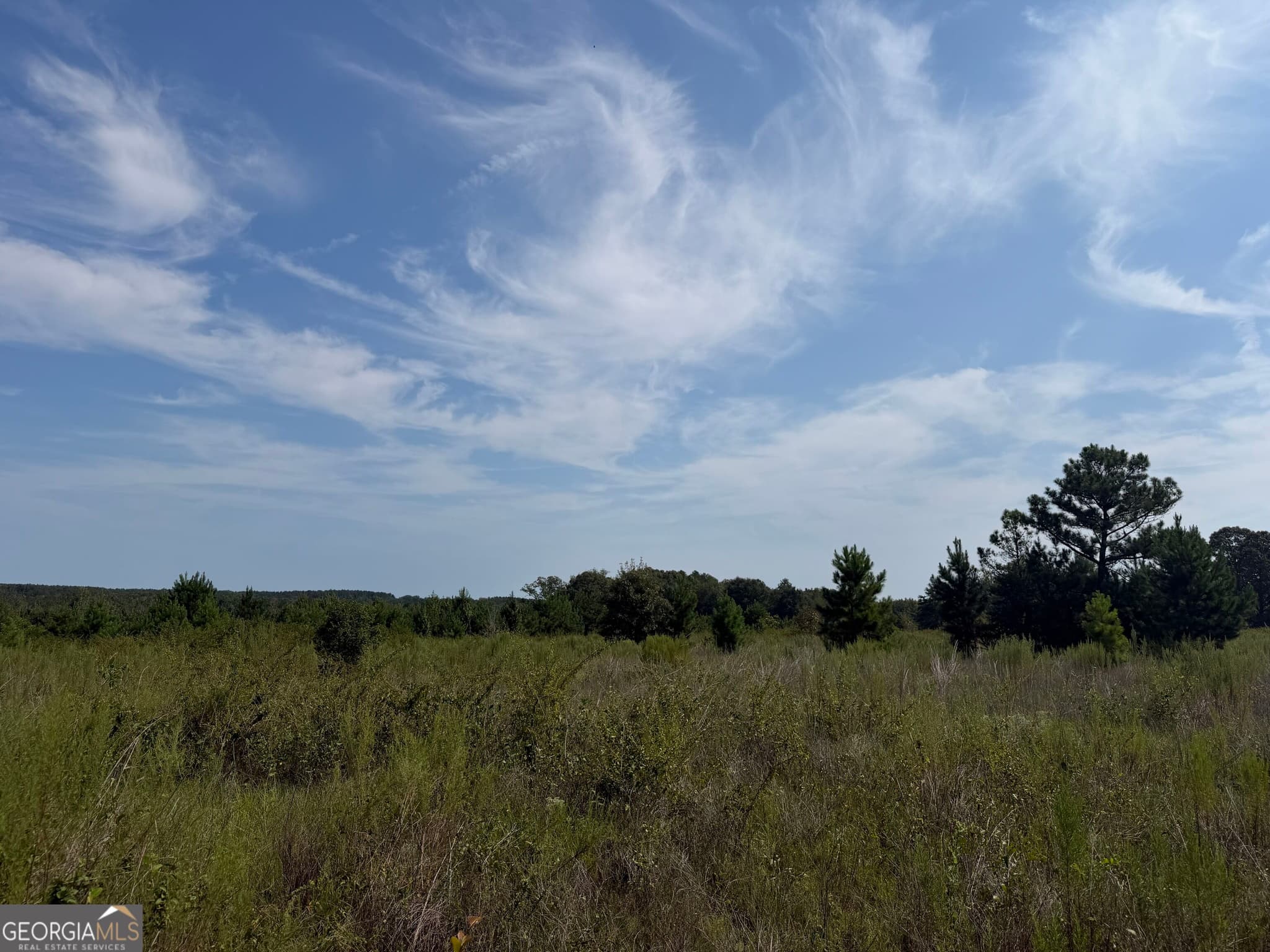 unimproved land for sale at 005 Long Branch Road, Toomsboro, GA 31090 — photo 10