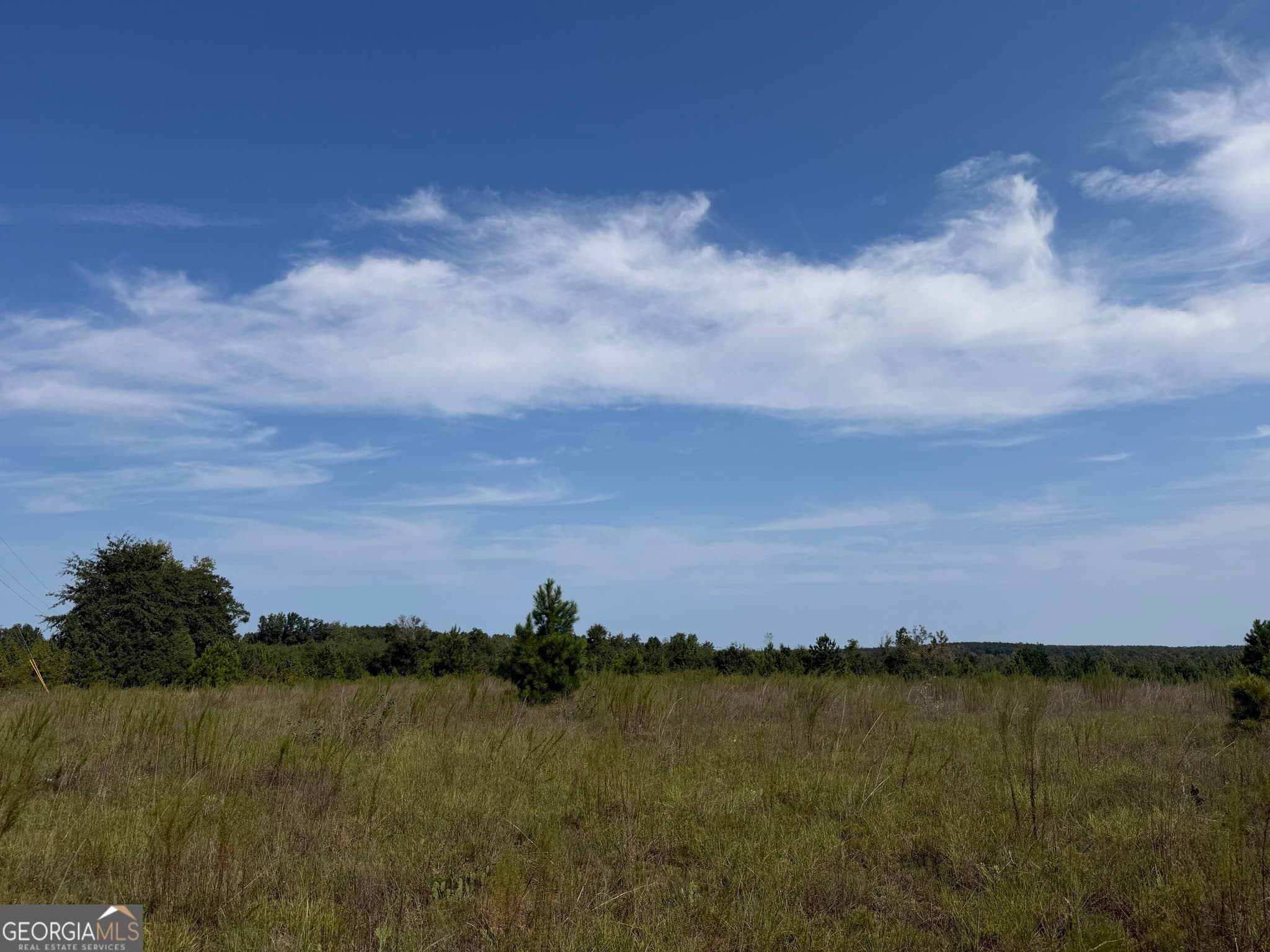 unimproved land for sale at 005 Long Branch Road, Toomsboro, GA 31090 — photo 4