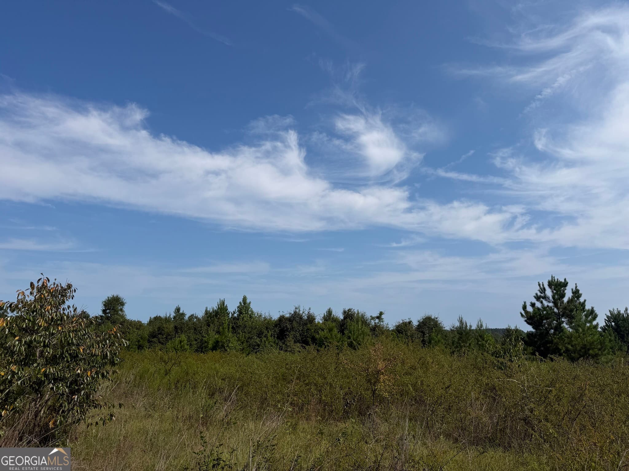 unimproved land for sale at 005 Long Branch Road, Toomsboro, GA 31090 — photo 8
