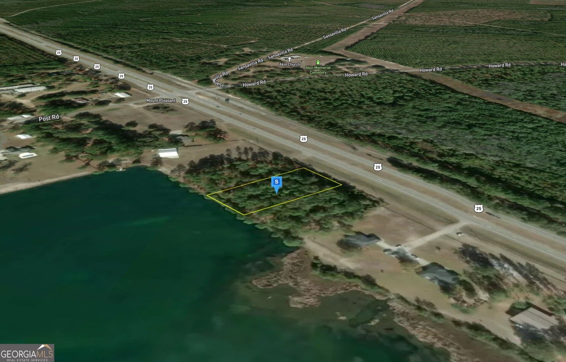 residential lot for sale at 16890 US-341, Hortense, GA 31543 — photo 3