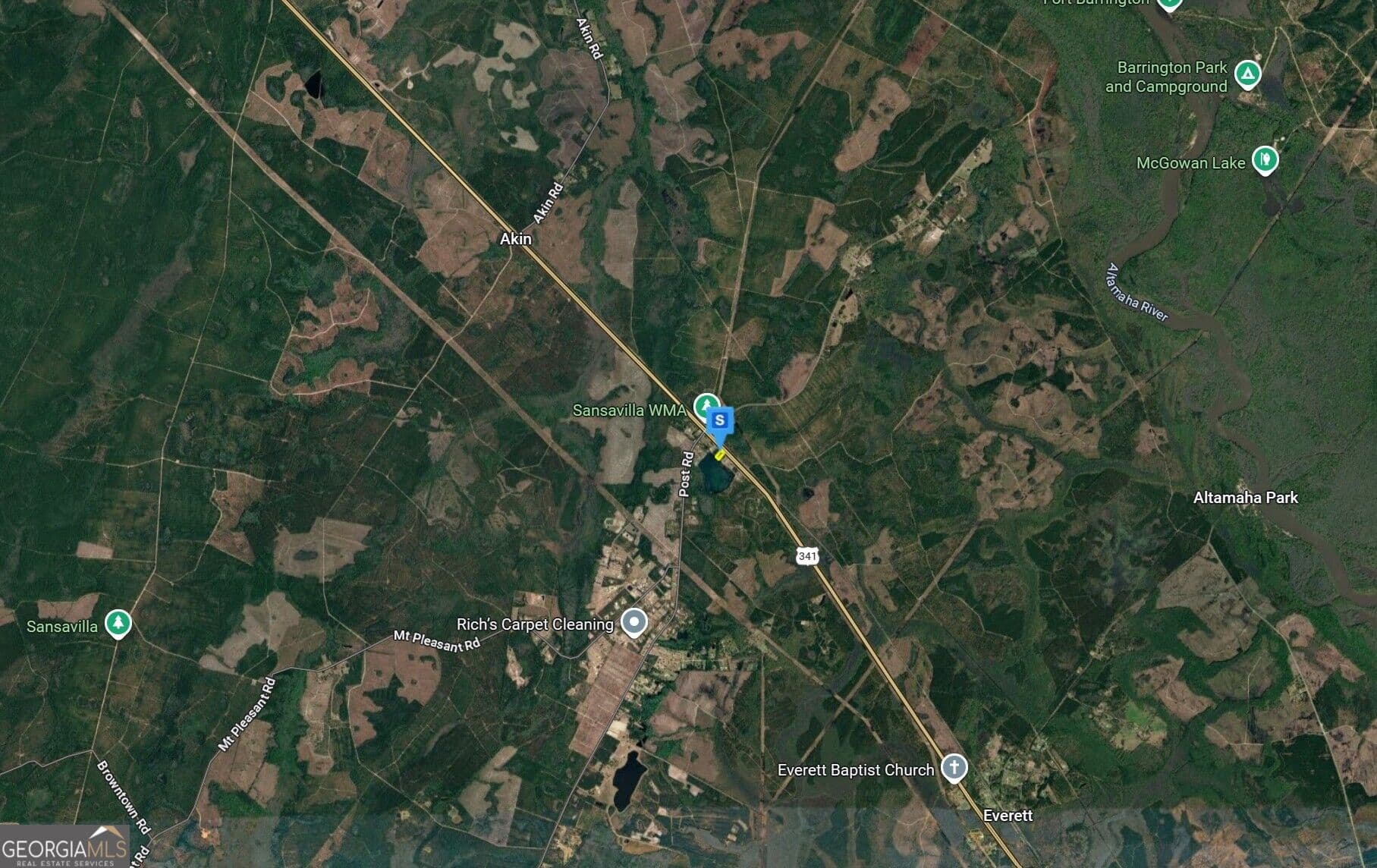 residential lot for sale at 16890 US-341, Hortense, GA 31543 — photo 4