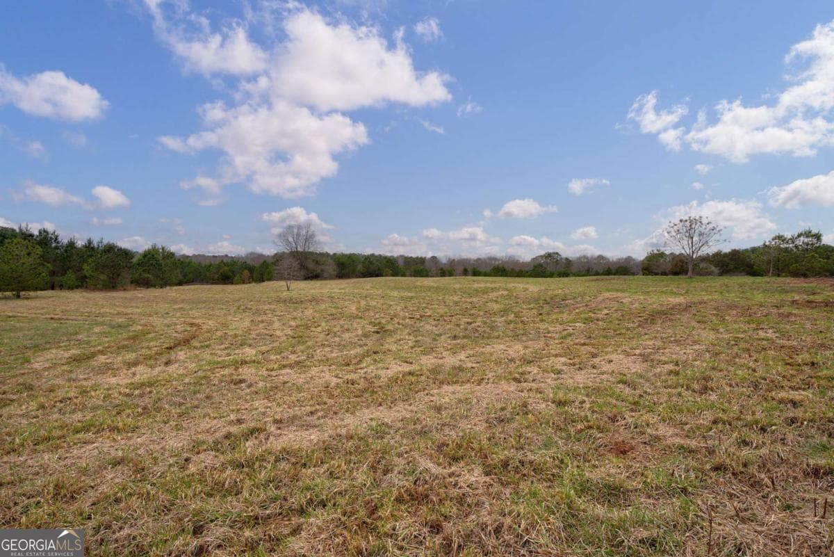 unimproved land for sale at TRACT 3 High Shoals Road, Bishop, GA 30621 — photo 6