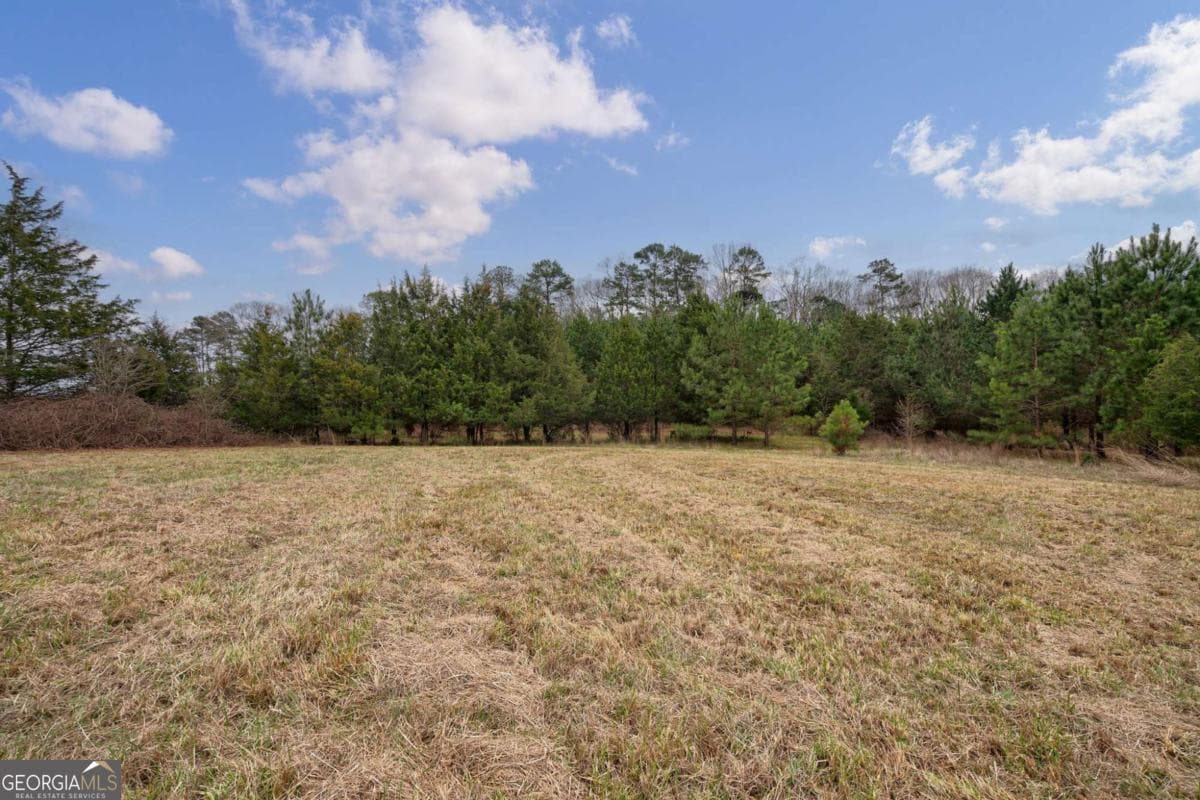 unimproved land for sale at TRACT 3 High Shoals Road, Bishop, GA 30621 — photo 7