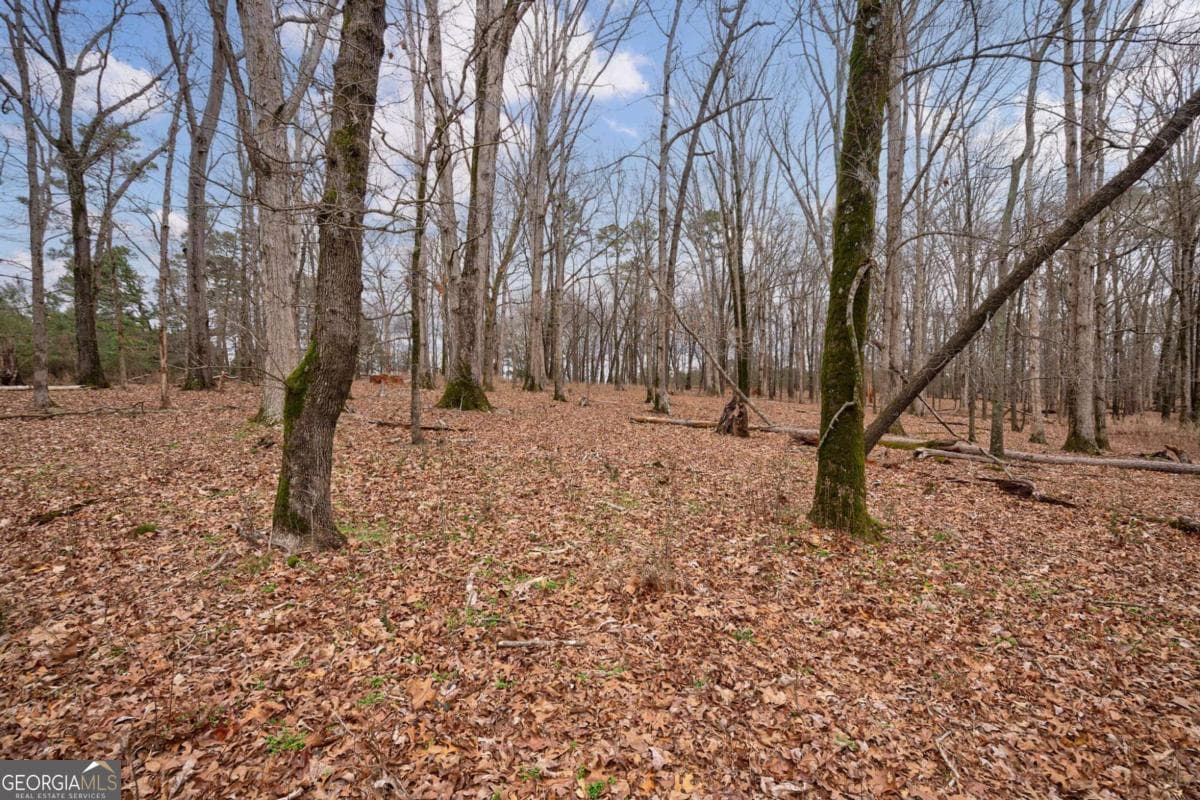 unimproved land for sale at TRACT 3 High Shoals Road, Bishop, GA 30621 — photo 3
