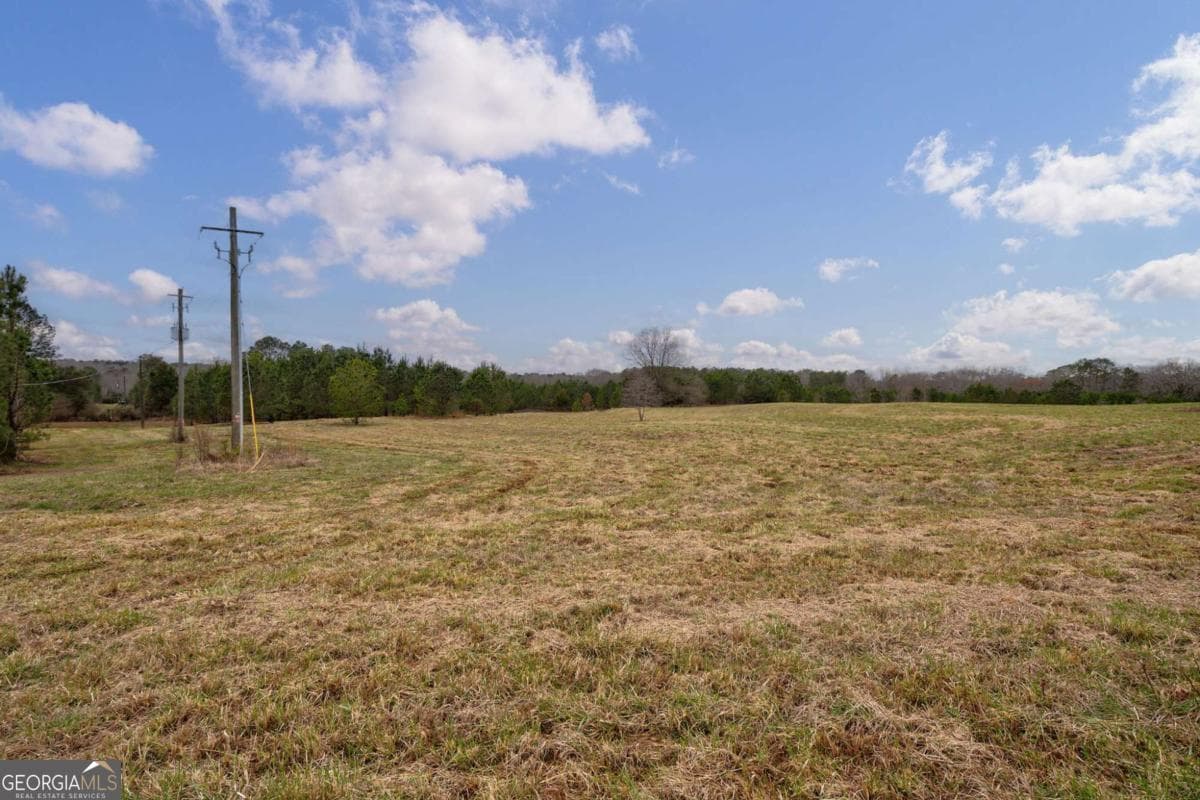 unimproved land for sale at TRACT 3 High Shoals Road, Bishop, GA 30621 — photo 5