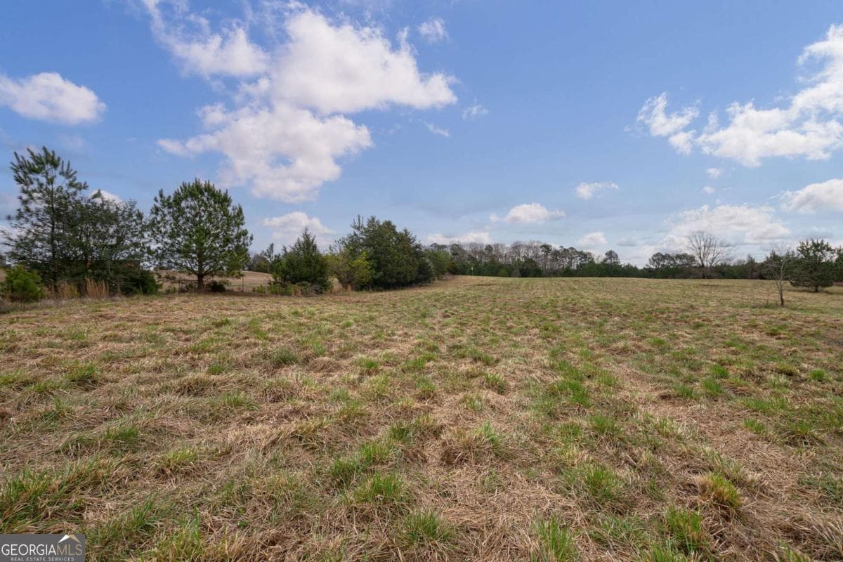 unimproved land for sale at TRACT 3 High Shoals Road, Bishop, GA 30621 — photo 9