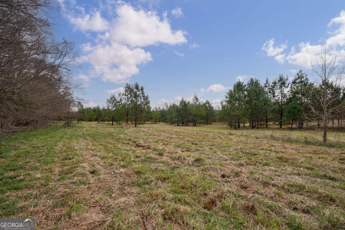 unimproved land for sale at TRACT 3 High Shoals Road, Bishop, GA 30621 — photo 10