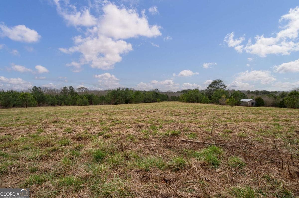 unimproved land for sale at TRACT 3 High Shoals Road, Bishop, GA 30621 — photo 4