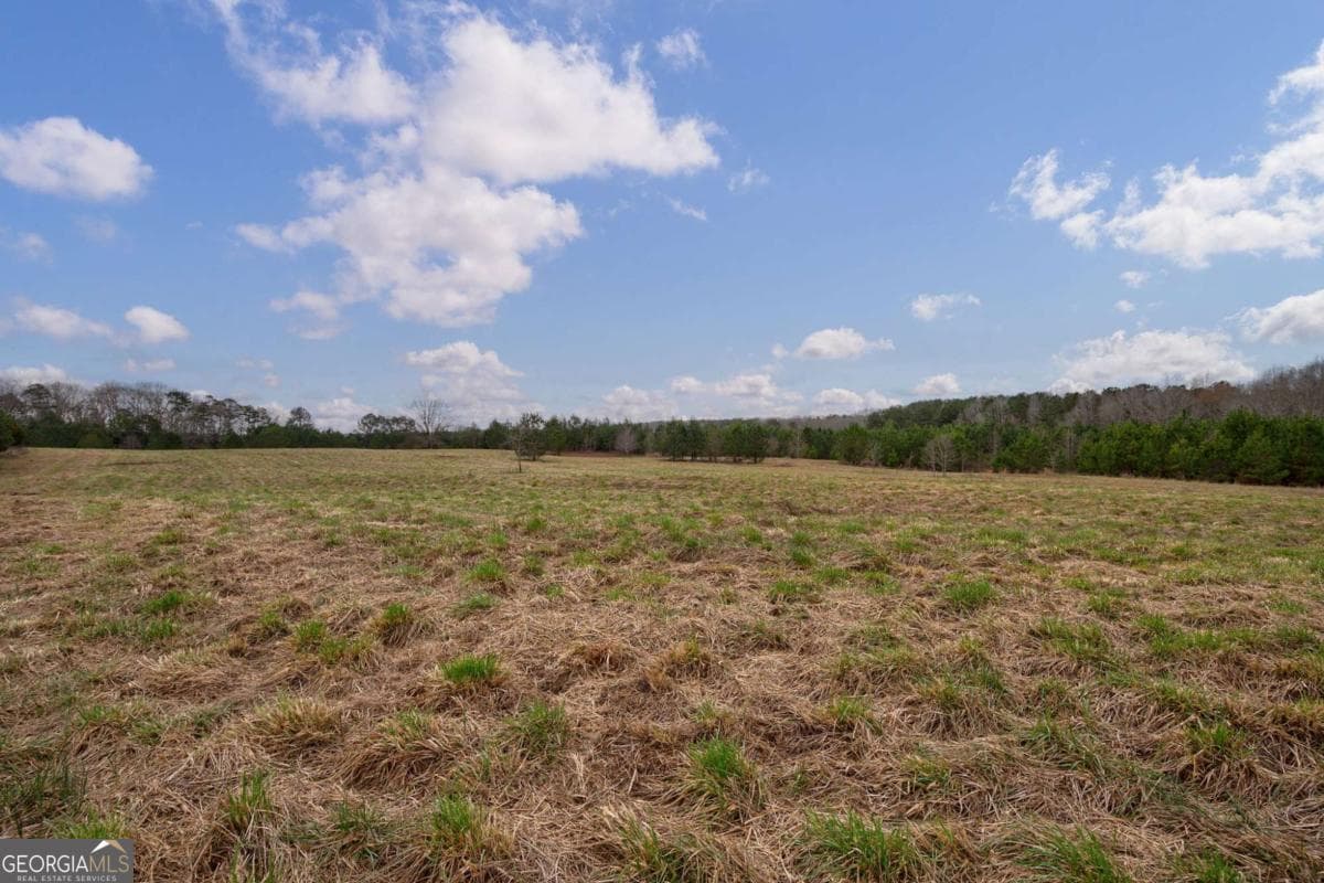 unimproved land for sale at TRACT 3 High Shoals Road, Bishop, GA 30621 — photo 8