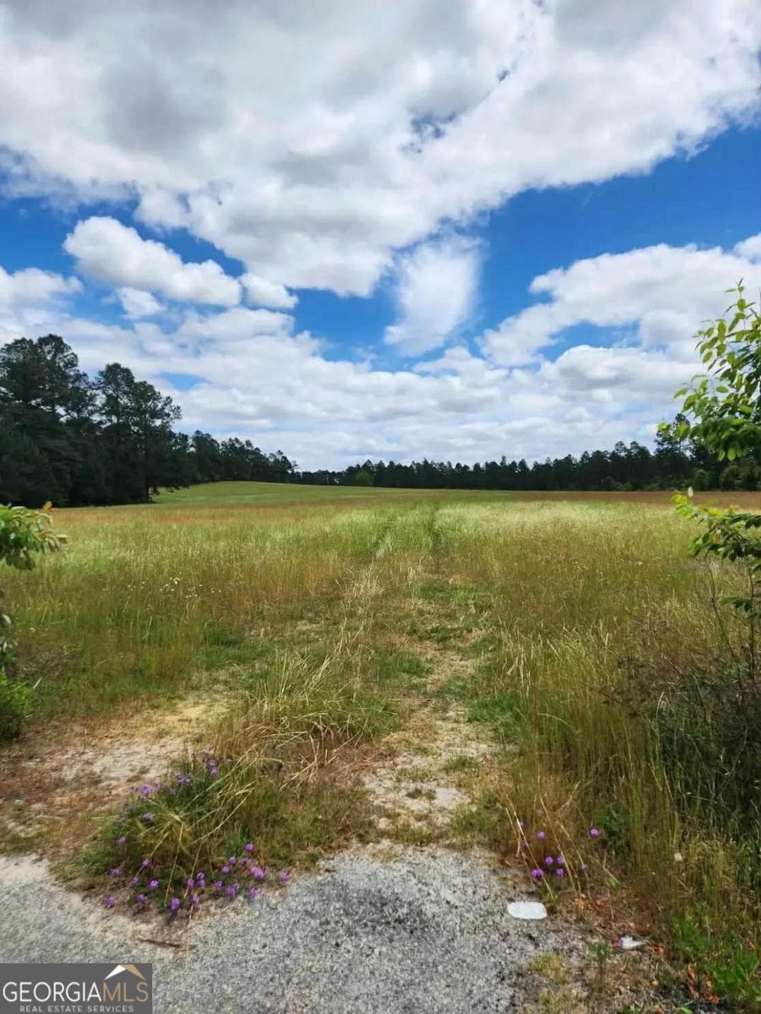 residential lot for sale at 0 Stingray Road, Swainsboro, GA 30401 — photo 2