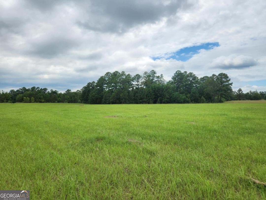 residential lot for sale at 0 Stingray Road, Swainsboro, GA 30401 — photo 6