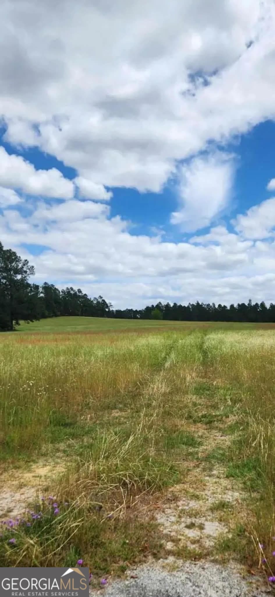 residential lot for sale at 0 Stingray Road, Swainsboro, GA 30401 — photo 7