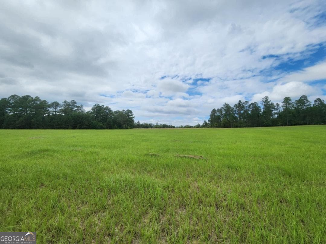 residential lot for sale at 0 Stingray Road, Swainsboro, GA 30401 — photo 5