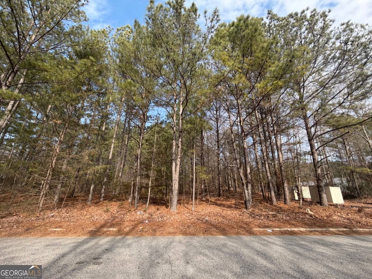 unimproved land for sale at 0 Carnes Drive, Fayetteville, GA 30214 — photo 2