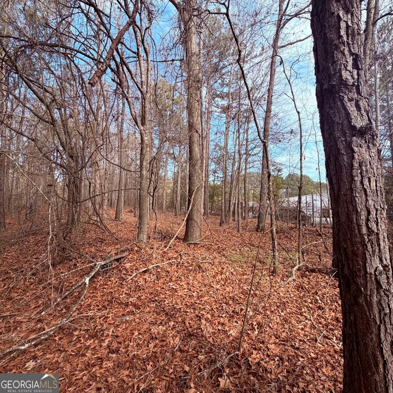 unimproved land for sale at 0 Carnes Drive, Fayetteville, GA 30214 — photo 6