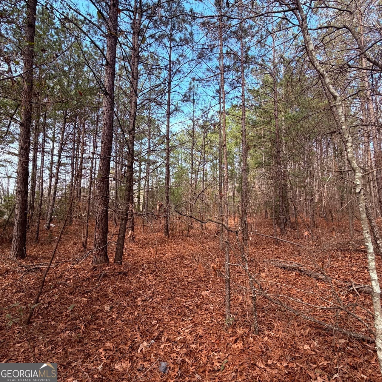 unimproved land for sale at 0 Carnes Drive, Fayetteville, GA 30214 — photo 7