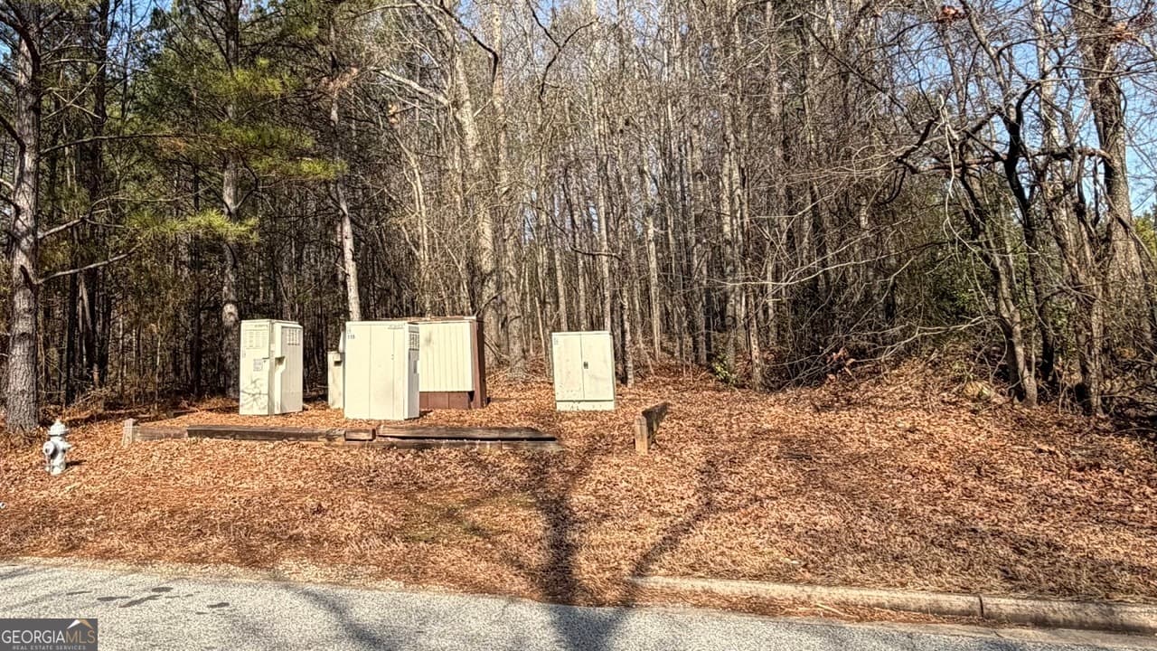 unimproved land for sale at 0 Carnes Drive, Fayetteville, GA 30214 — photo 3