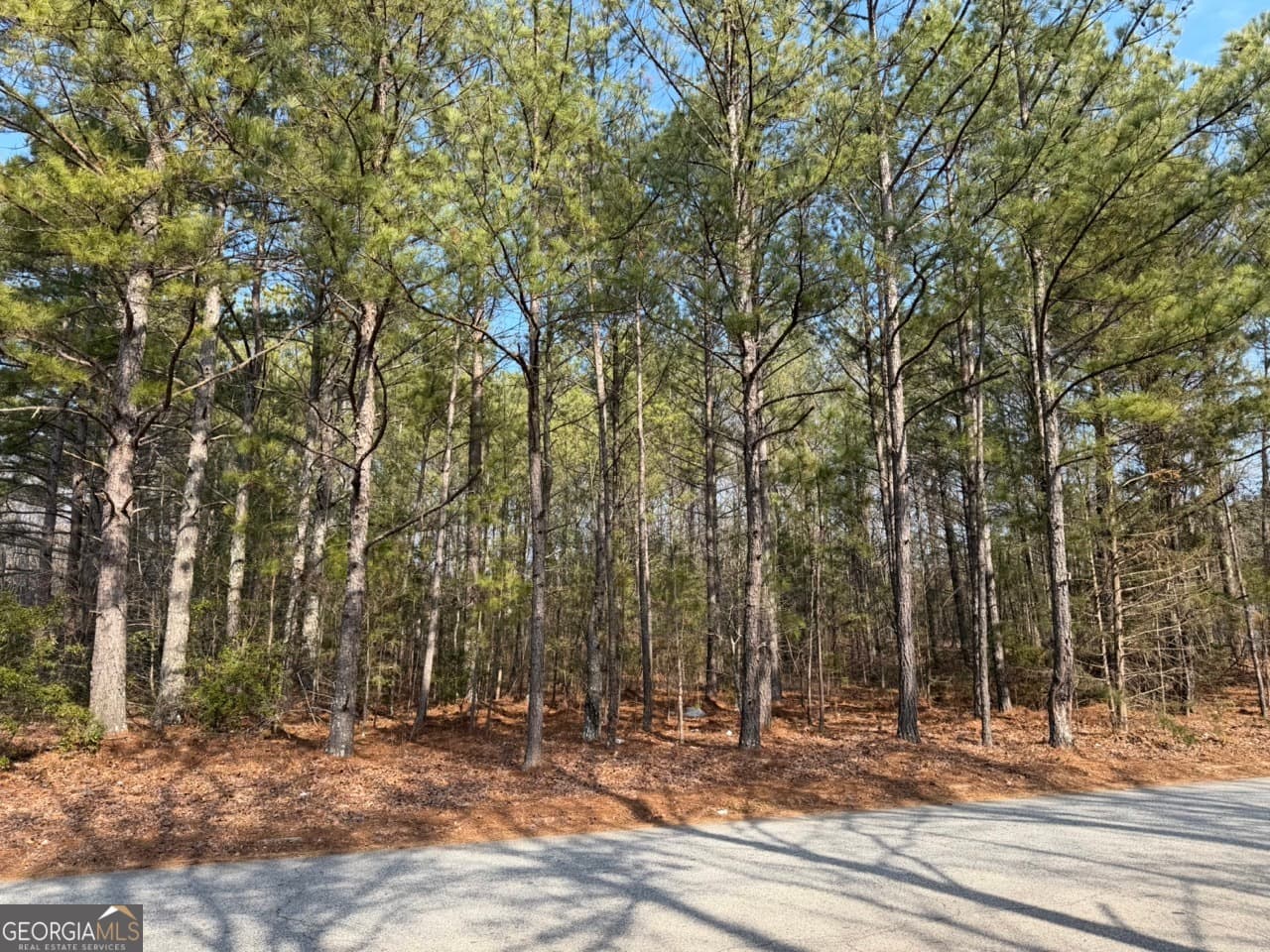 unimproved land for sale at 0 Carnes Drive, Fayetteville, GA 30214 — photo 1 of 9