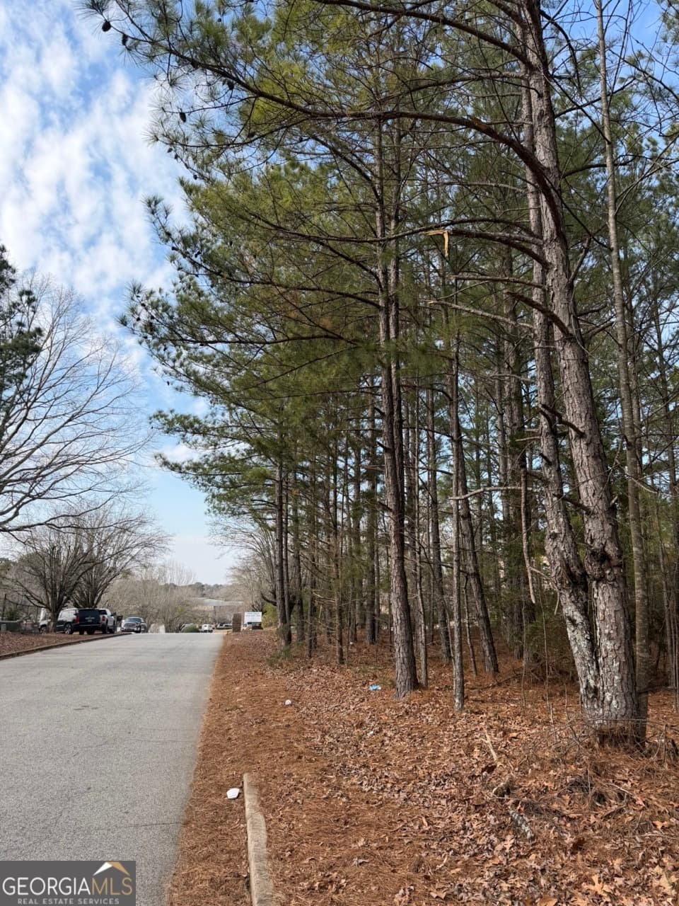 unimproved land for sale at 0 Carnes Drive, Fayetteville, GA 30214 — photo 5