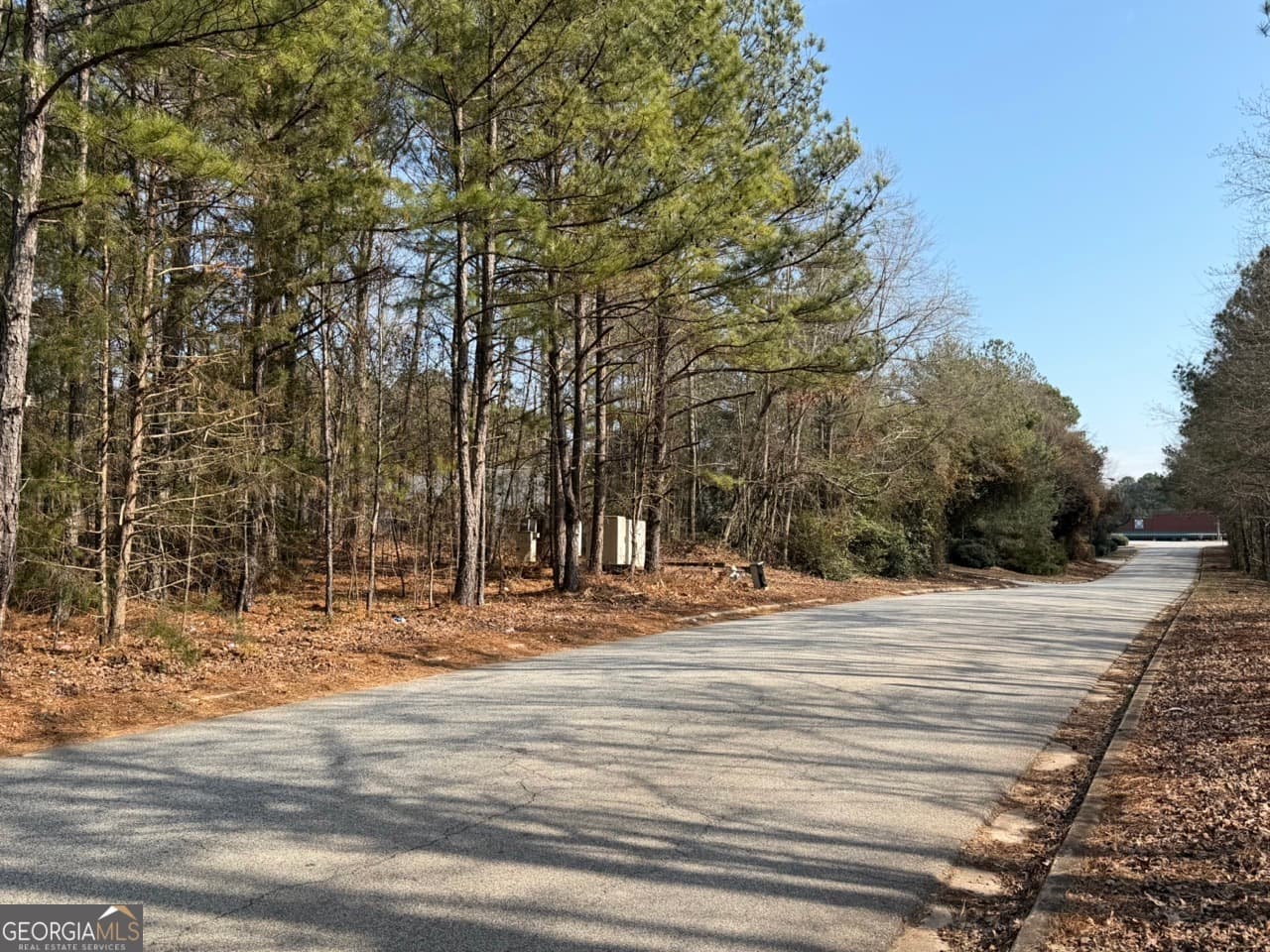 unimproved land for sale at 0 Carnes Drive, Fayetteville, GA 30214 — photo 4