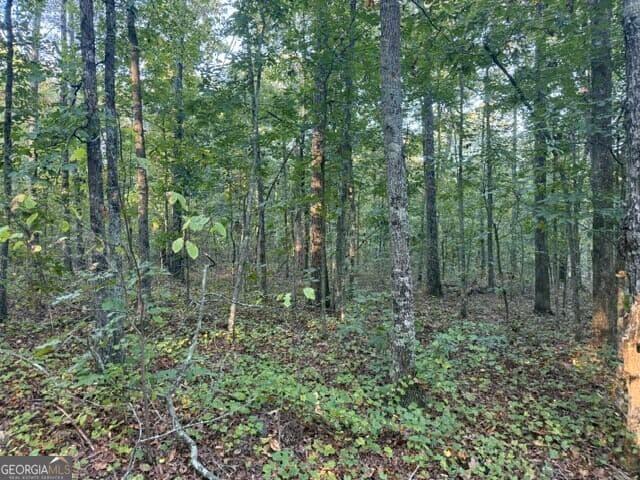 agriculture for sale at 0 Owensby Lane, Adairsville, GA 30103 — photo 2