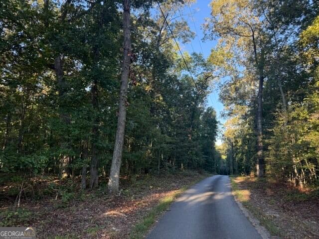agriculture for sale at 0 Owensby Lane, Adairsville, GA 30103 — photo 6