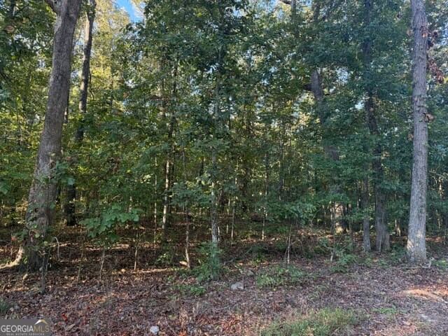 agriculture for sale at 0 Owensby Lane, Adairsville, GA 30103 — photo 7