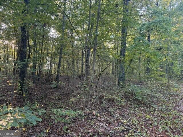 agriculture for sale at 0 Owensby Lane, Adairsville, GA 30103 — photo 3