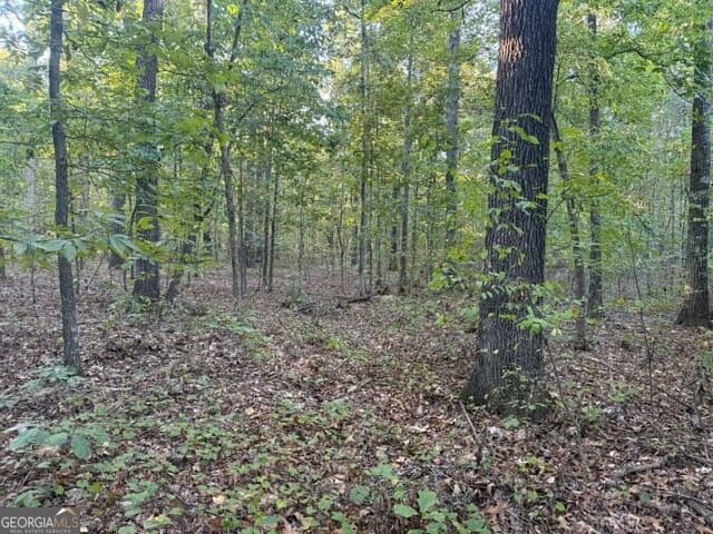 agriculture for sale at 0 Owensby Lane, Adairsville, GA 30103 — photo 5