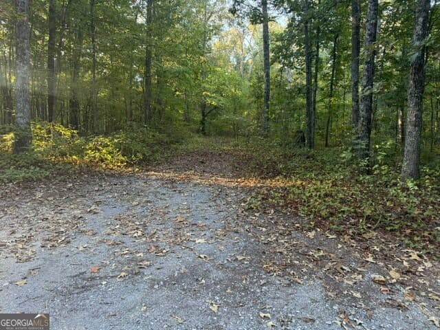 agriculture for sale at 0 Owensby Lane, Adairsville, GA 30103 — photo 9