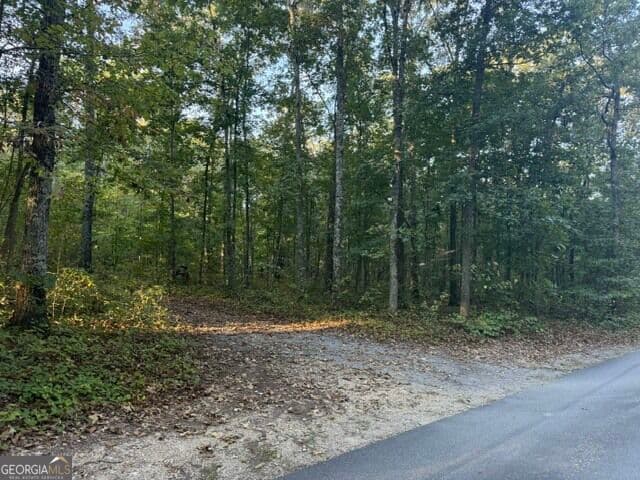 agriculture for sale at 0 Owensby Lane, Adairsville, GA 30103 — photo 8