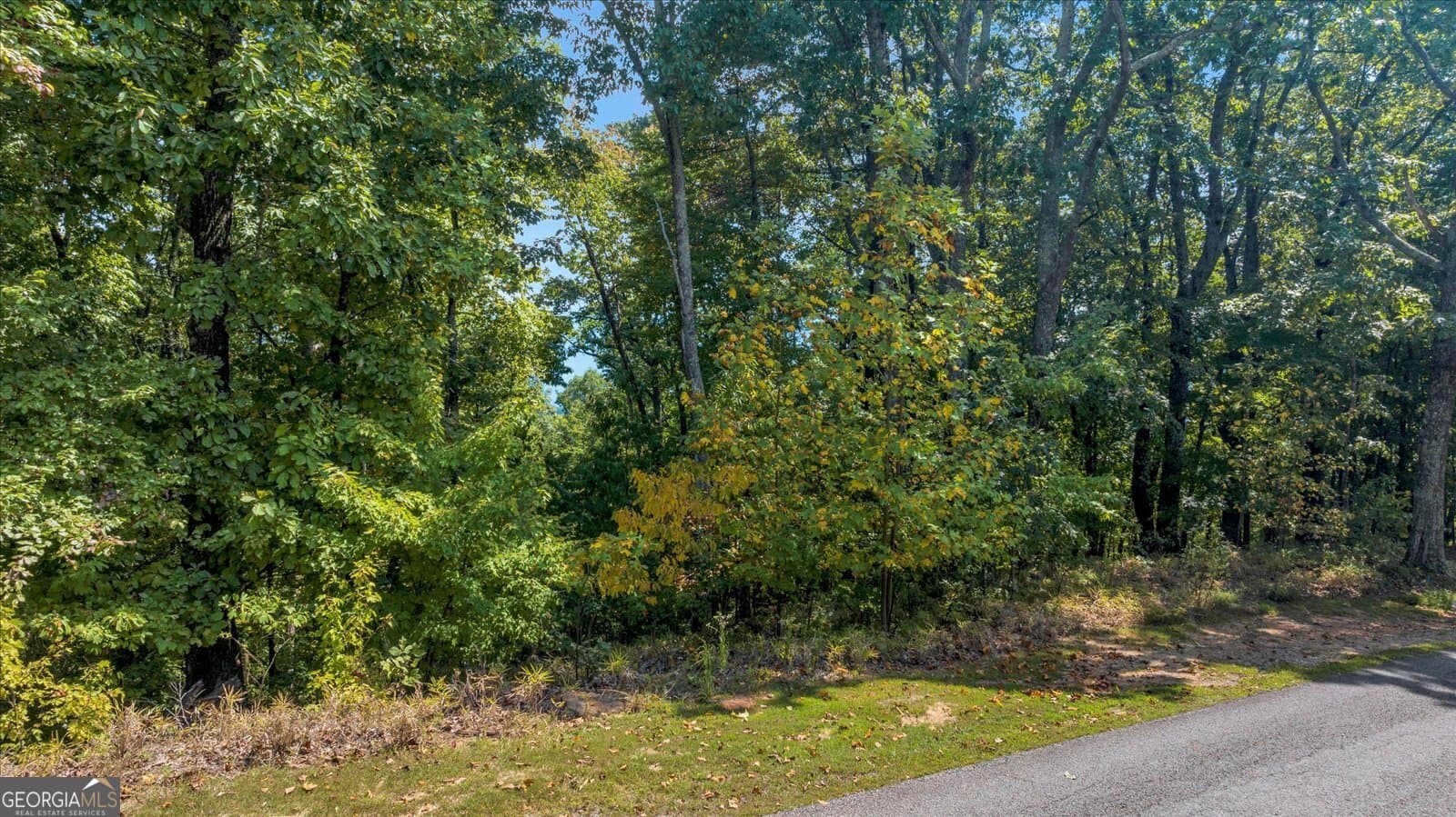 residential lot for sale at LOT 54 Mountainside Drive, Cleveland, GA 30528 — photo 6
