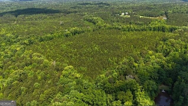 agriculture for sale at 0 Maria Lane, Ellerslie, GA 31807 — photo 2