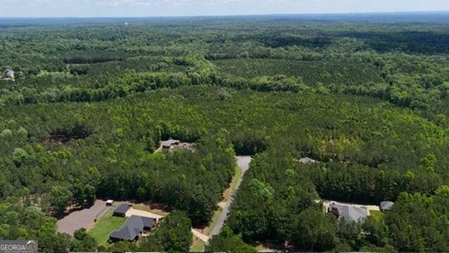agriculture for sale at 0 Maria Lane, Ellerslie, GA 31807 — photo 3